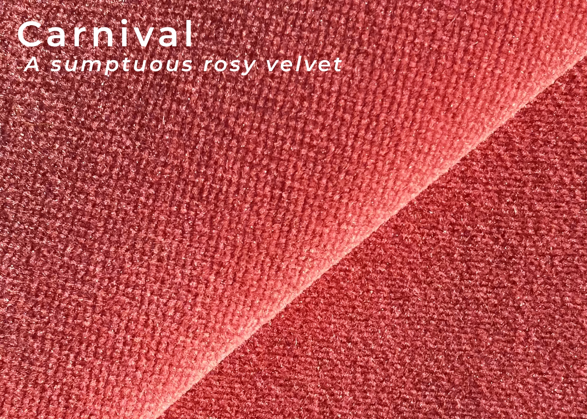 Fabric Samples - Image 3