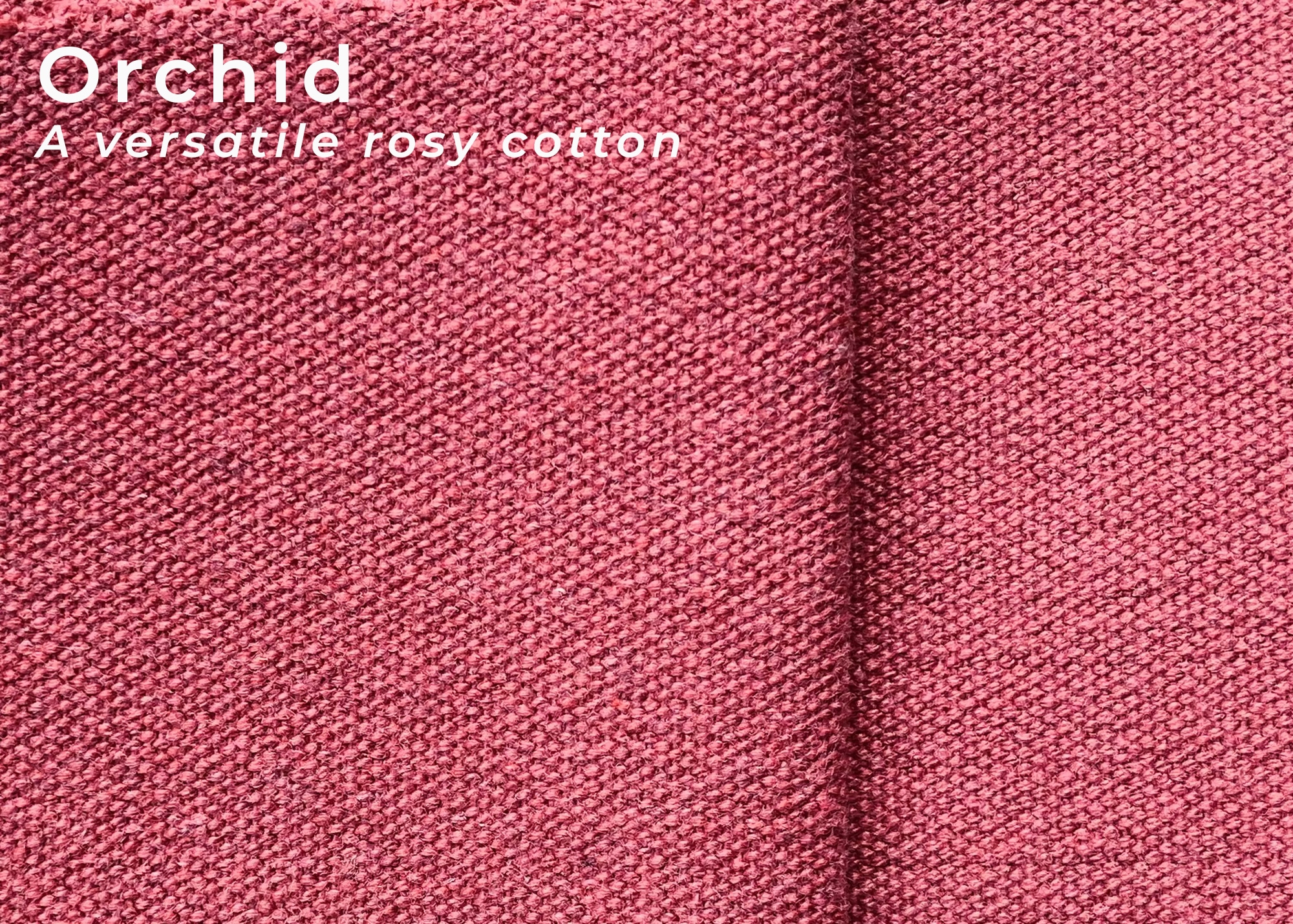 Fabric Samples - Image 11